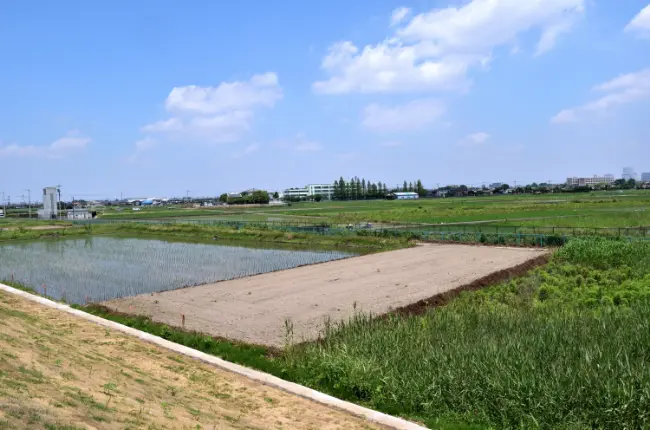 市街化調整区域に特化した売却活動